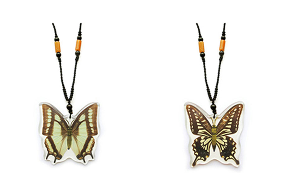 蝴蝶琥珀系列新产品隆重上市